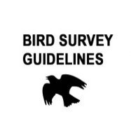 Bird survey guidelines for assessing ecological impacts
#birdsurveyguidelines