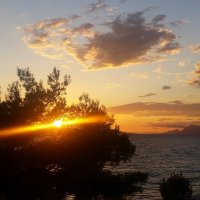 Azra Zornic (@azrazornic) 's Twitter Profile Photo Azra Zornic (@azrazornic) 's Twitter Profile Photo