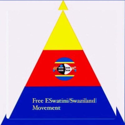 Mission Statement! As the “Free Swaziland Movement” we seek a Just, Fair, Free and Equitable Democratic nation of Swaziland.