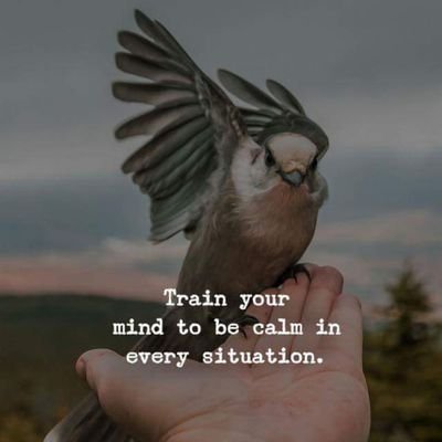 pe03612's profile picture. Newbie to Stock market | Learner | Risk taker