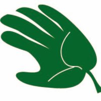 Llais y Goedwig (@llais_ygoedwig) 's Twitter Profile
