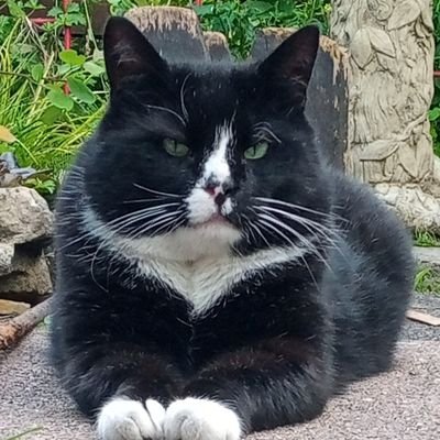 janetbrown7's profile picture. Loves all animals,  wildlife,  countryside      Vegetarian.     Hates Tories  &  Ukip        
😈DO NOT ADD ME TO LISTS😈