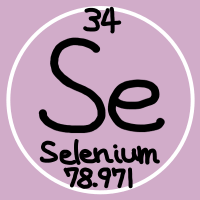 Selenium(せれにうむ)(@Xenon_Selenium) 's Twitter Profile Photo