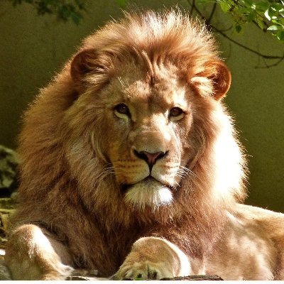 SadaManUg's profile picture. Tour and Travel Guide