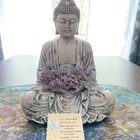 Buddhagirl (@buddhagirl5) 's Twitter Profile