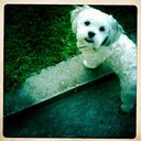 Anne-Margaret Forde - @MegsyF - Twitter