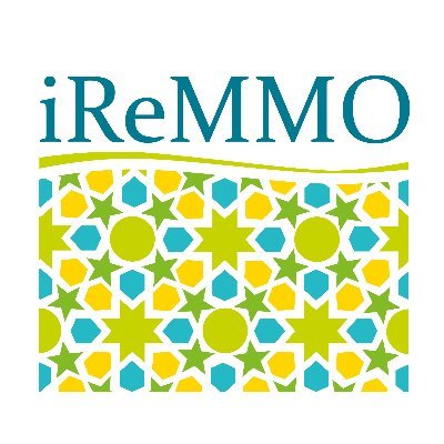 IiReMMO Profile Picture