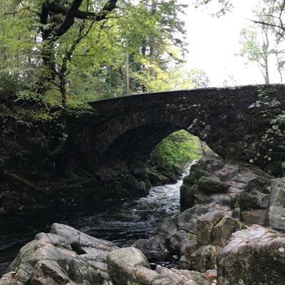 #NatureInBed, a place for chronically ill & disabled people to enjoy wildlife when unable to access it offline. Run by @helen_melon__