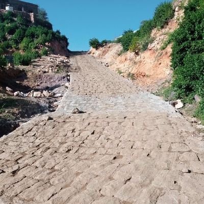 majdalshmry12's profile picture. 