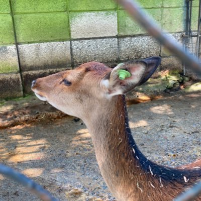 風呂屋さんのプロフィール画像