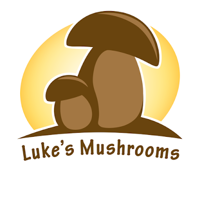 Mushroom photography and foraging videos.