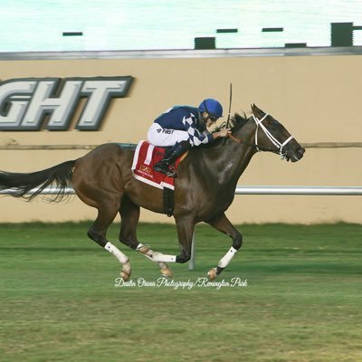 G_Stein22's profile picture. Jockey