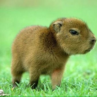 halley9797's profile picture. 