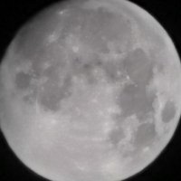 Ncryp73d (@ncryp73d) 's Twitter Profile