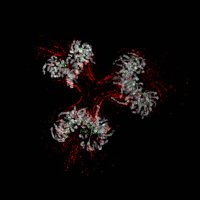 Chromosoma_Edboard (@chromosoma_eb) 's Twitter Profile Photo Chromosoma_Edboard (@chromosoma_eb) 's Twitter Profile Photo