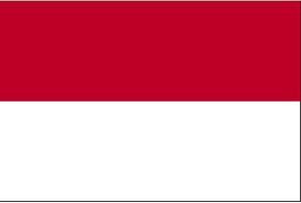 PAY organisasi yang menyatukan kami, 23 angkatan kami. PAY 23 keluarga kami. Bersama kita akan menaklukan dunia, membawa Indonesia ke kancah dunia.