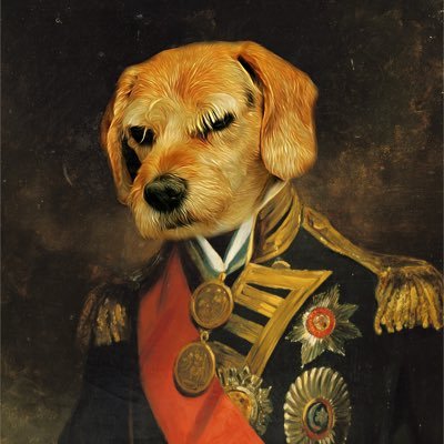 thethirdkidney's profile picture. #HelloQuitteX