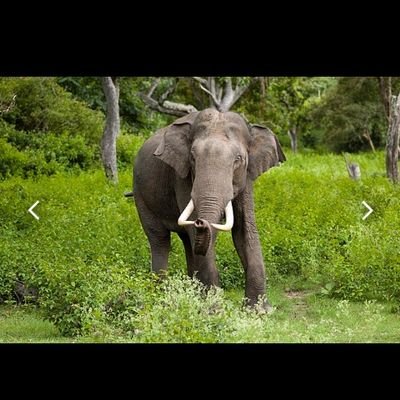 greg_chiwa's profile picture. Medicine and politics make my life tick