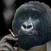 Gorille1V Profile Picture