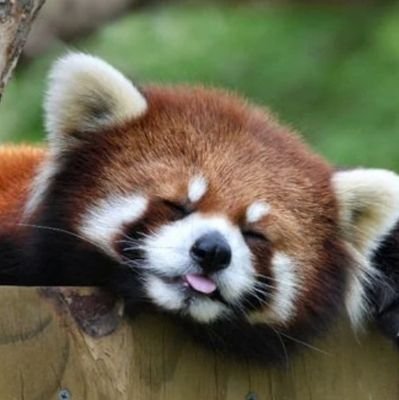 Aki61ue's profile picture. 