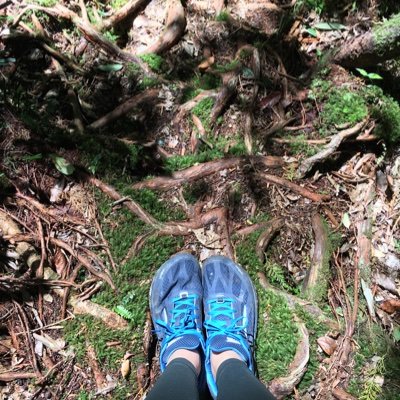 aggggnessss's profile picture. International @nytgraphics.