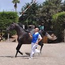 Jonathan Amaro - @AmaArabe - Twitter