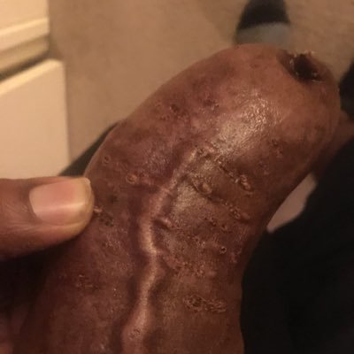 barebackgarden's profile picture. 