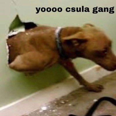 jes