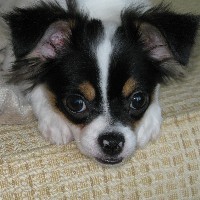 masato0101's profile picture. 