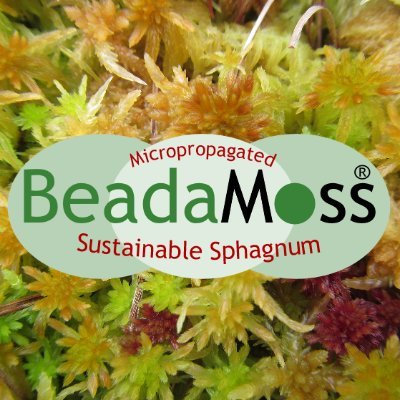 Sustainable micropropagated Sphagnum moss for critical peatland restoration - reducing effects of climate change, wildfires and flooding, for over 15 years.