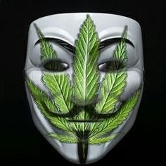 Cannabis Enthusiast
Flying high under the radar in the UK 😁
Misses Freedom of Movement
#FBPE
#GTTO
🍁🌬💨💜🌌
