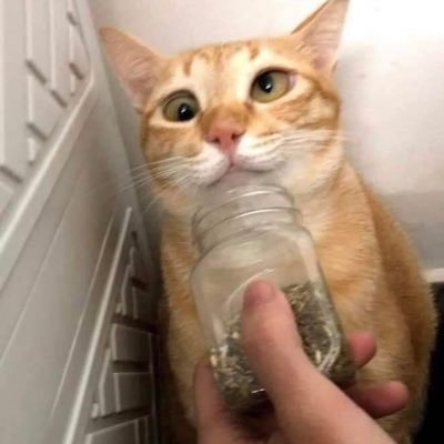 GHOSTisSadLoL's profile picture. tied my shoes I’m done trippin