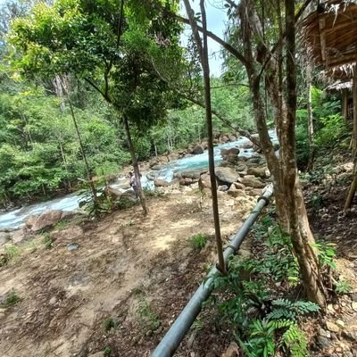 JS633241942's profile picture. 