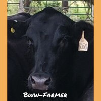 goodpeople (@bwwork3) 's Twitter Profile
