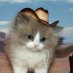 burger boi (@burgerboi_prime) Twitter profile photo burger boi (@burgerboi_prime) Twitter profile photo