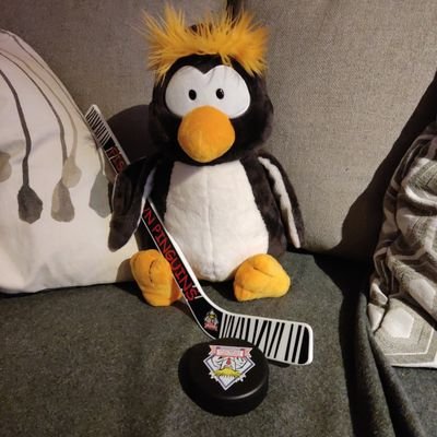 Pitus_Pinguin's profile picture. Fischtown Pinguins Fan