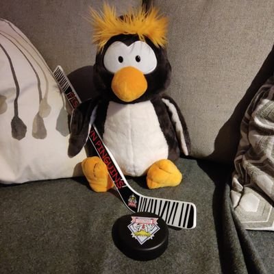 Fischtown Pinguins Fan