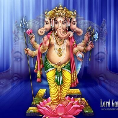 hallk196226's profile picture. Пенсионер