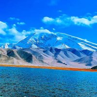 Uygur Platformu (@uygurhareketi) Twitter profile photo