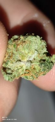 mutterficker420's profile picture. Bbbbb