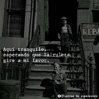 SecFreddy's profile picture. 