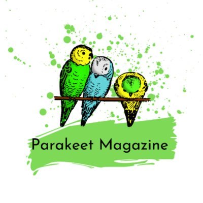 Parakeet Magazine