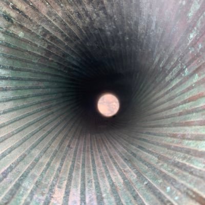 DBajaste's profile picture. Just do it.