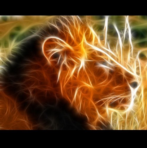 kkhadi23's profile picture. 