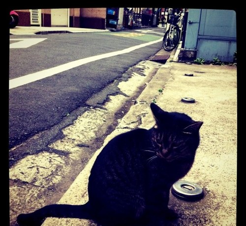 I'm Tokyo Traveler. 大衆居酒屋／喫茶店／60年代／団地／立食いそば／産業遺産／近代建築／サイケ／鰻／ビール／黒田硫黄／散歩／ピクニック／キャンプ／大正ロマン／けいおん！