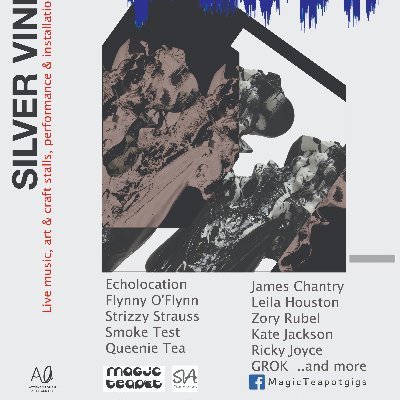 Silver Vine Arts is a collective of creative individuals whose mission is to enhance and enrich the arts within Leicester's ever growing creative community