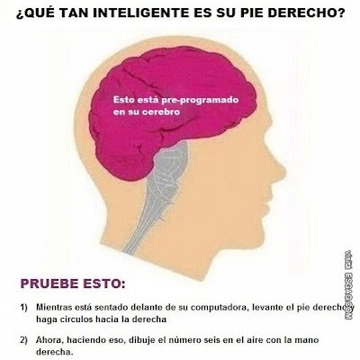 IlanDelgado3's profile picture. 