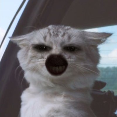 Robokind41's profile picture. 