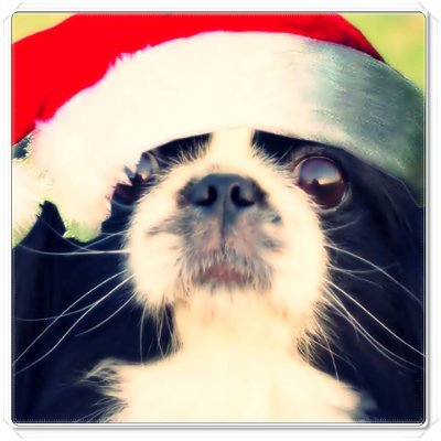mokapochi's profile picture. 🎄独り言・癒しとストレス解消📢📢💗 慈愛💗 寛容 💗 相互理解💗 平和主義者😉🎄🍒🍒個人の感想です。
🎶Music🎵🎧
🙏💞相互フォロー🙏💞FB100%  💞非暴力💞
DM💤Sorry😌メンタル