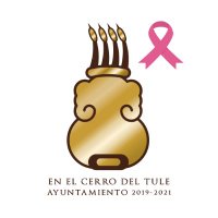 AyuntamientoTultepec (@etultepec) 's Twitter Profile